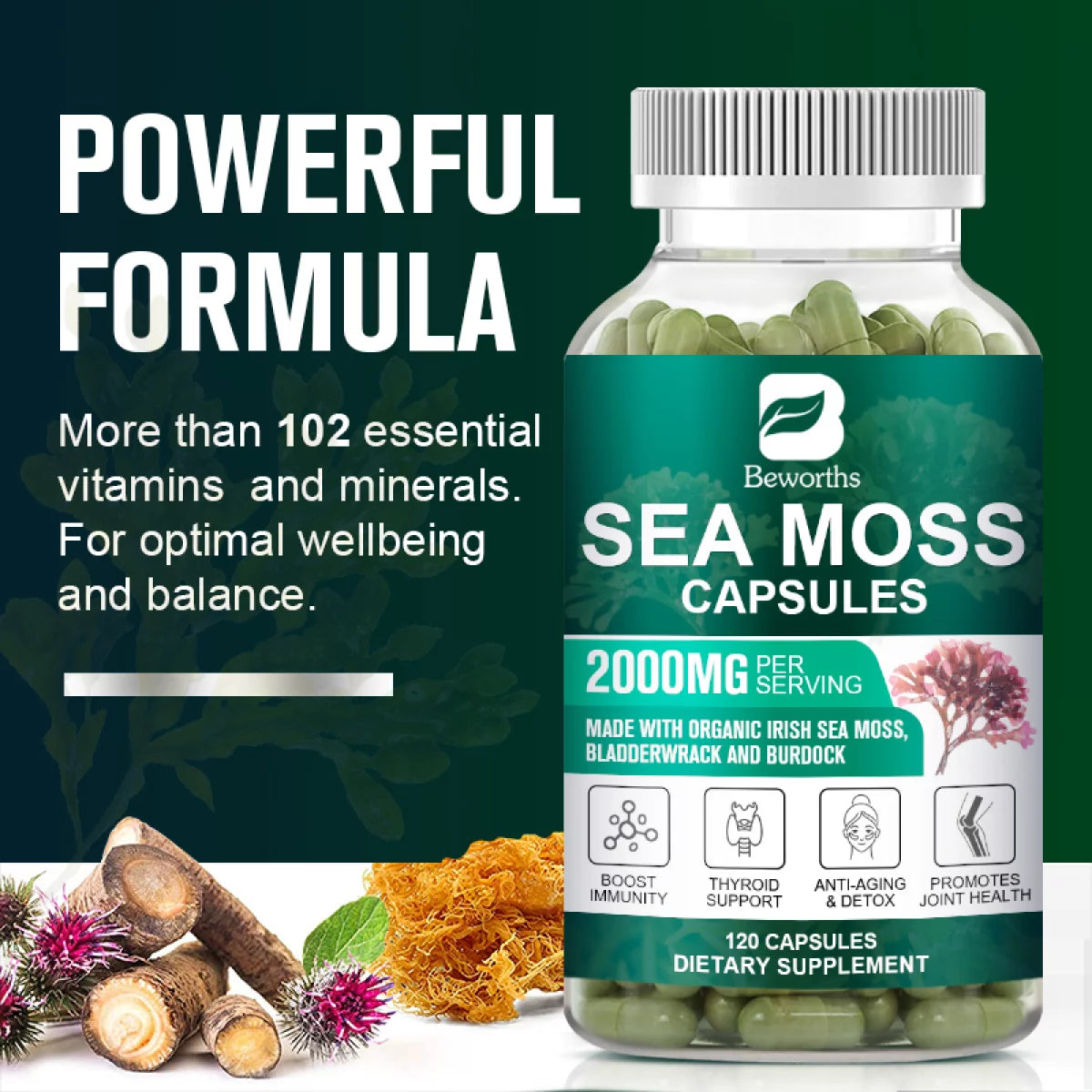 Organic Sea Moss Capsules 2000Mg with Burdockroot, for Immune Boost, Skin & Joint Health, Gut Cleanse & Thyroid Support.