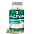 Organic Sea Moss Capsules 2000Mg with Burdockroot, for Immune Boost, Skin & Joint Health, Gut Cleanse & Thyroid Support.